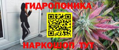 стафф Комсомольск-на-Амуре